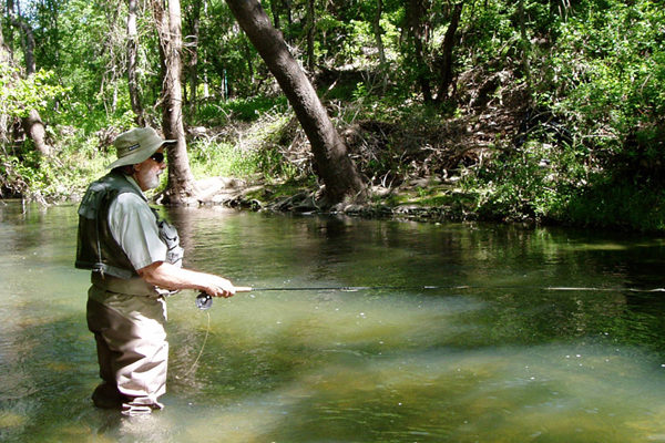 Living Waters Fly Fishing Guide Service