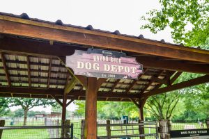 Dog Depot Dog Park