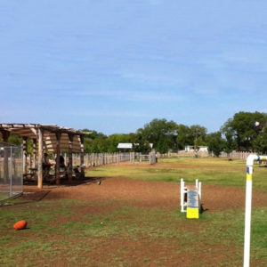 Dog Depot Dog Park