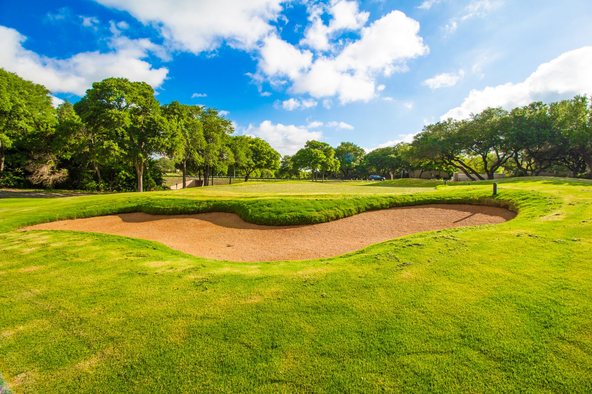 Forest Creek is Golf Advisor's 8 Most Improved Golf Course Round Rock TX