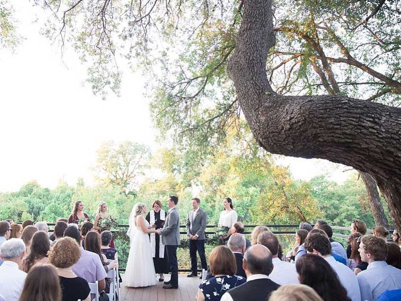 Wedding ceremony under tree at Brushy Creek
