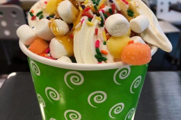 Yogurt Cup with Toppings