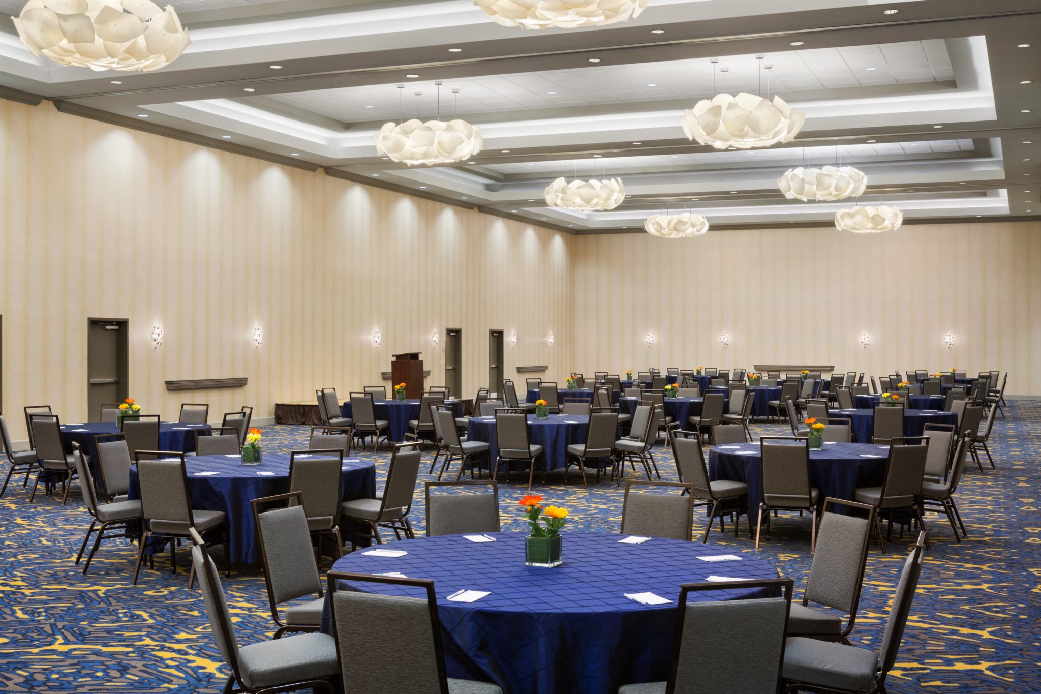 Embassy Suites - Conference Center - Round Rock TX