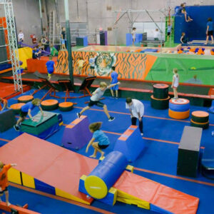 Jungle Movement Academy