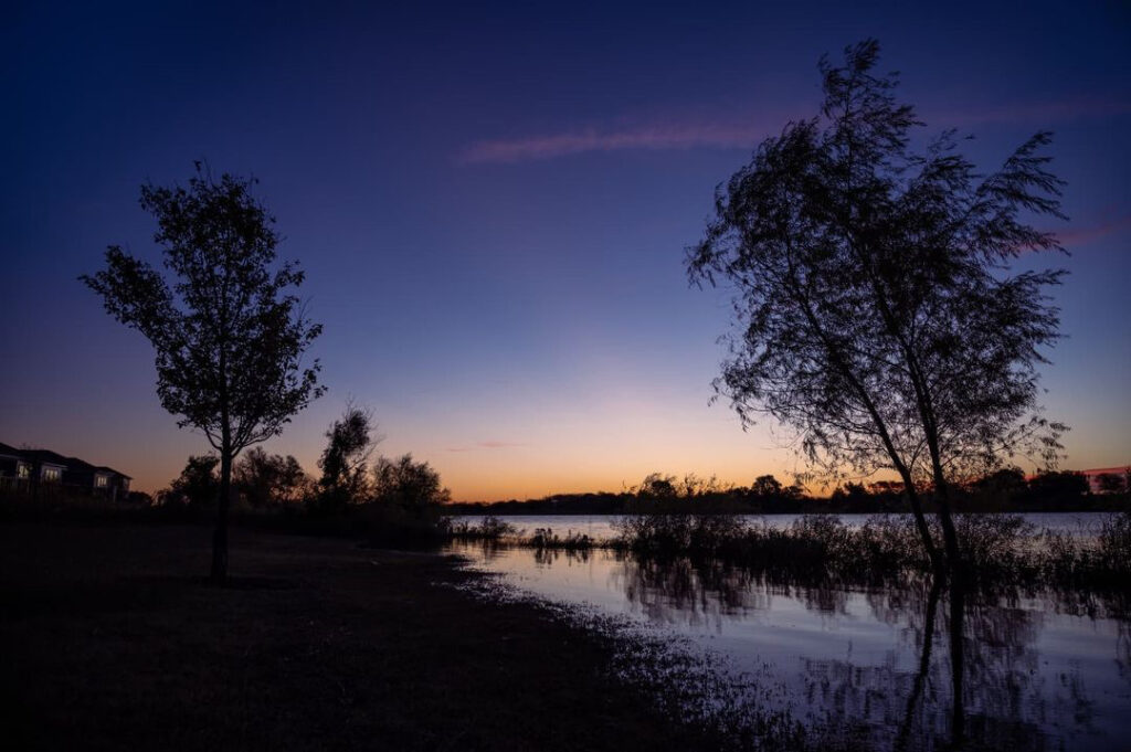 Meadow Lake at dusk with trees