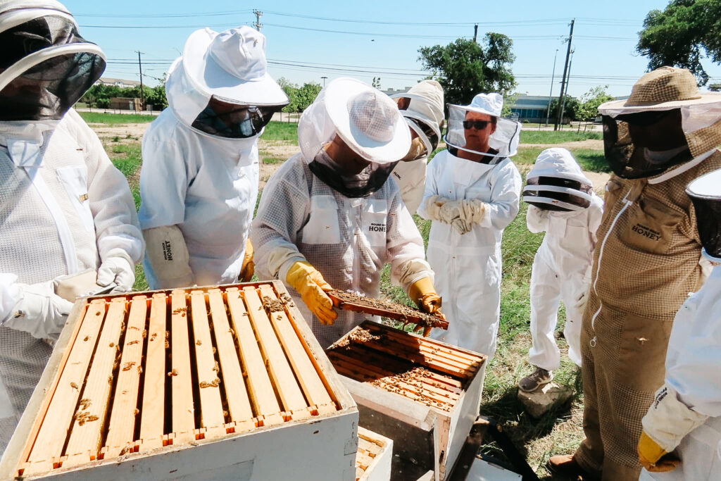 Round Rock Honey offers honey house tours to enjoy and learn.